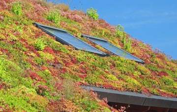 Ebberston living roof systems