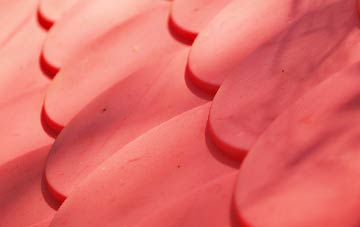 Ebberston plastic roof costs